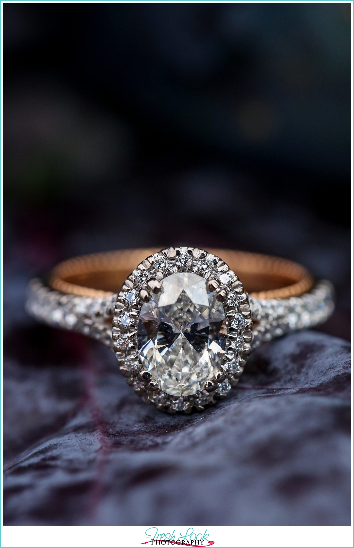 14K Valina Diamond Engagement Ring Setting 001-140-2001960 | Kiefer  Jewelers | Lutz, FL